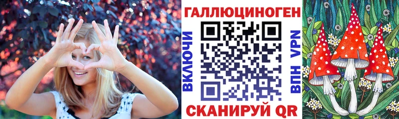 Купить где  Дудинка  Псилоцибиновые грибы Psilocybine cubensis 